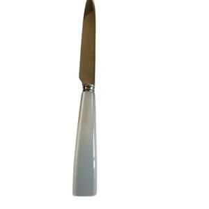 NEW Sabre Paris Icône White Dinner Knife 18/10 Stainless Acrylic
